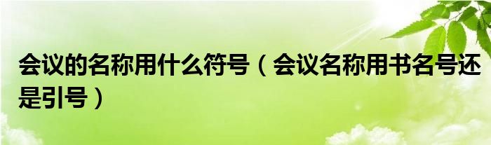 会议的名称用什么符号（会议名称用书名号还是引号）