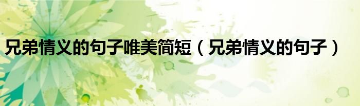 兄弟情义的句子唯美简短（兄弟情义的句子）