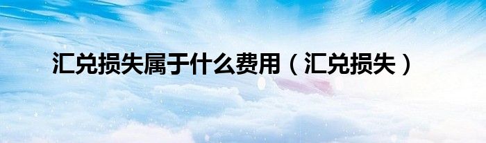 汇兑损失属于什么费用（汇兑损失）