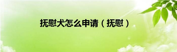 抚慰犬怎么申请（抚慰）
