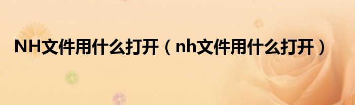 NH文件用什么打开（nh文件用什么打开）