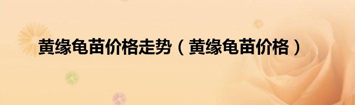 黄缘龟苗价格走势（黄缘龟苗价格）