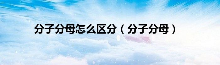 分子分母怎么区分（分子分母）