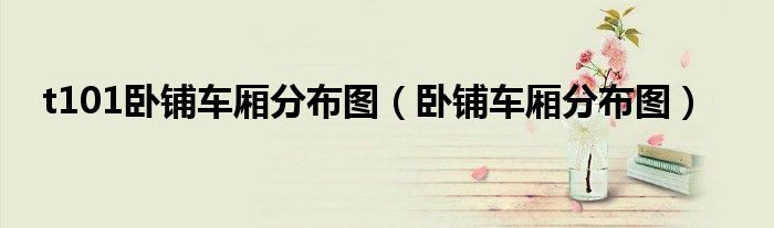 t101卧铺车厢分布图（卧铺车厢分布图）