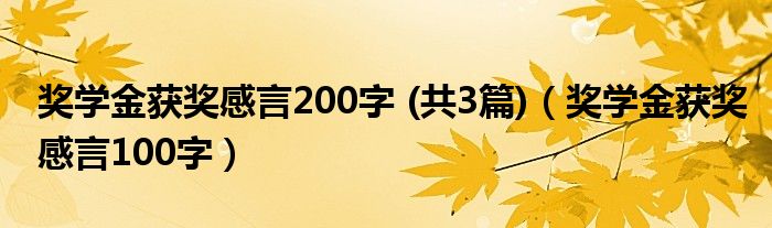 奖学金获奖感言200字 (共3篇)（奖学金获奖感言100字）