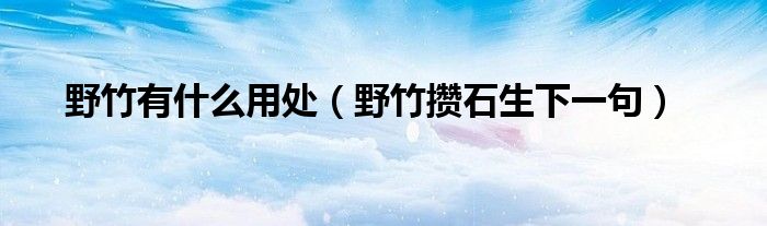 野竹有什么用处（野竹攒石生下一句）