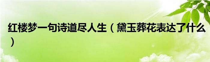 红楼梦一句诗道尽人生（黛玉葬花表达了什么）