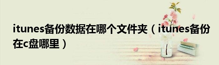 itunes备份数据在哪个文件夹（itunes备份在c盘哪里）
