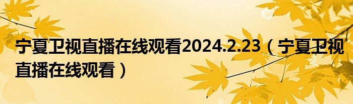 宁夏卫视直播在线观看2024.2.23（宁夏卫视直播在线观看）