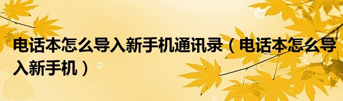 电话本怎么导入新手机通讯录（电话本怎么导入新手机）