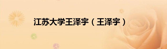 江苏大学王泽宇（王泽宇）