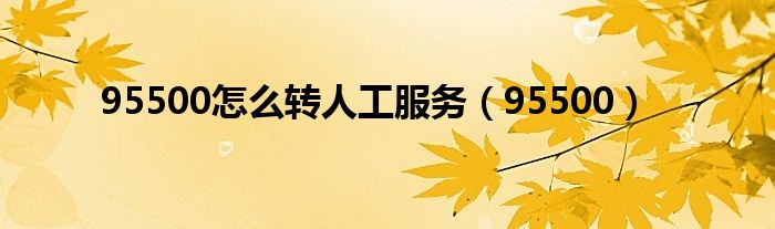 95500怎么转人工服务（95500）