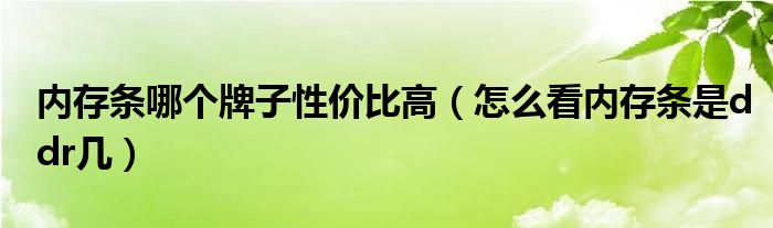 内存条哪个牌子性价比高（怎么看内存条是ddr几）