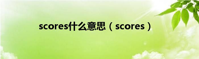 scores什么意思（scores）