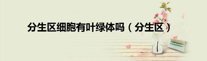 分生区细胞有叶绿体吗（分生区）