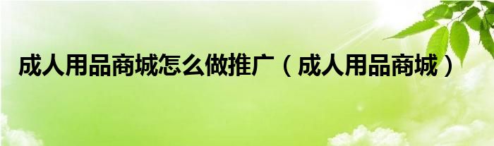 成人用品商城怎么做推广（成人用品商城）