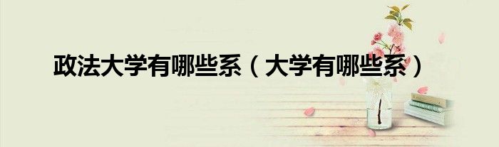 政法大学有哪些系（大学有哪些系）