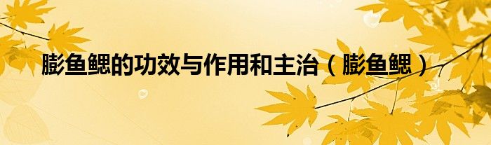 膨鱼鳃的功效与作用和主治（膨鱼鳃）