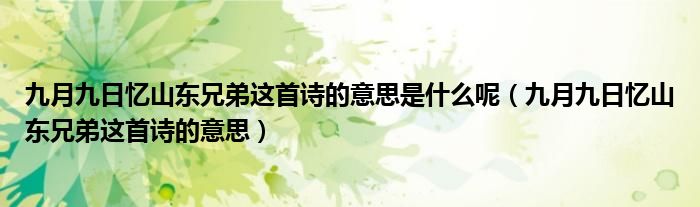 九月九日忆山东兄弟这首诗的意思是什么呢（九月九日忆山东兄弟这首诗的意思）