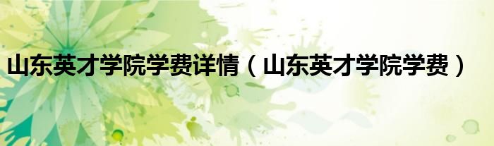山东英才学院学费详情（山东英才学院学费）