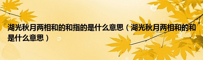 湖光秋月两相和的和指的是什么意思（湖光秋月两相和的和是什么意思）