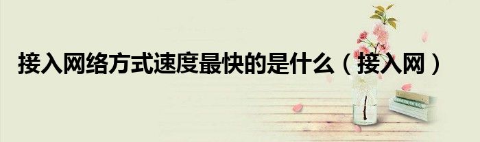 接入网络方式速度最快的是什么（接入网）