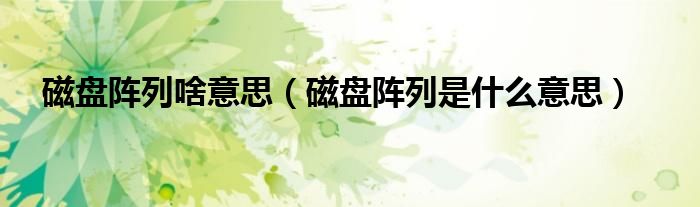 磁盘阵列啥意思（磁盘阵列是什么意思）