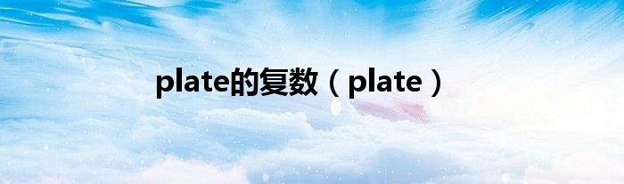 plate的复数（plate）