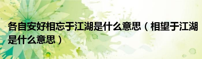 各自安好相忘于江湖是什么意思（相望于江湖是什么意思）