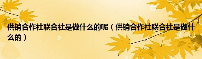 供销合作社联合社是做什么的呢（供销合作社联合社是做什么的）