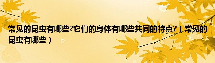 常见的昆虫有哪些?它们的身体有哪些共同的特点?（常见的昆虫有哪些）