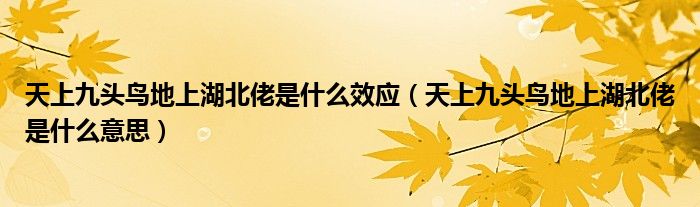 天上九头鸟地上湖北佬是什么效应（天上九头鸟地上湖北佬是什么意思）