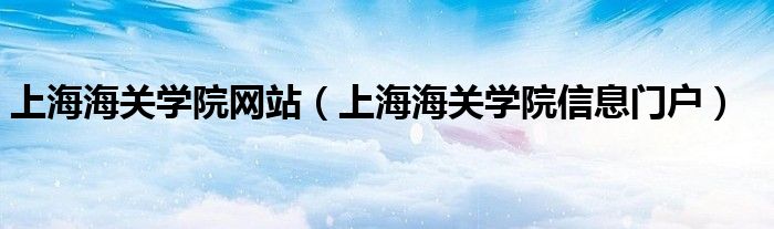 上海海关学院网站（上海海关学院信息门户）