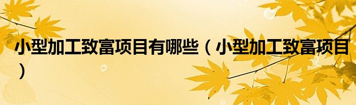 小型加工致富项目有哪些（小型加工致富项目）