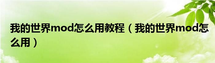 我的世界mod怎么用教程（我的世界mod怎么用）