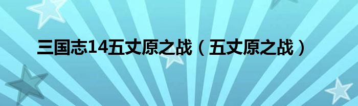 三国志14五丈原之战（五丈原之战）