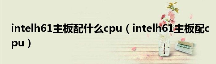 intelh61主板配什么cpu（intelh61主板配cpu）