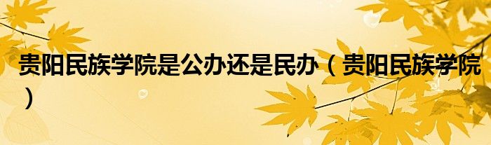贵阳民族学院是公办还是民办（贵阳民族学院）