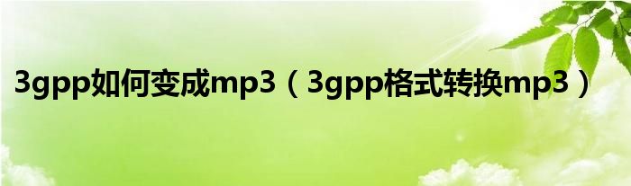 3gpp如何变成mp3（3gpp格式转换mp3）