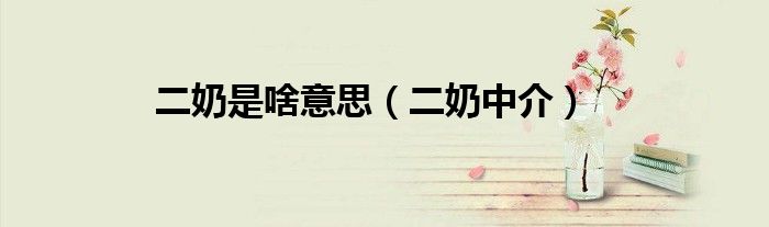二奶是啥意思（二奶中介）