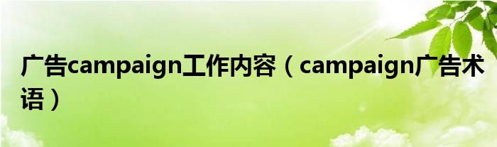 广告campaign工作内容（campaign广告术语）