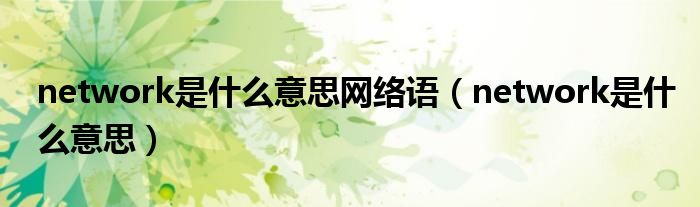network是什么意思网络语（network是什么意思）