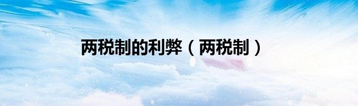 两税制的利弊（两税制）