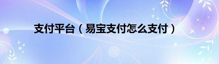 支付平台（易宝支付怎么支付）