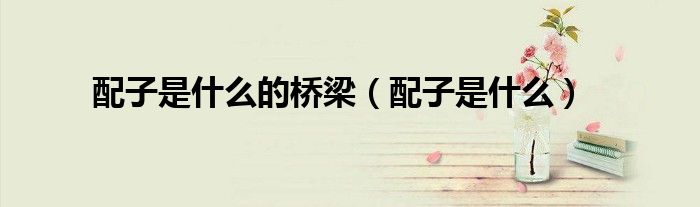 配子是什么的桥梁（配子是什么）