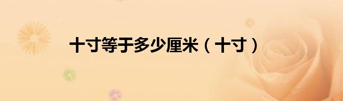 十寸等于多少厘米（十寸）