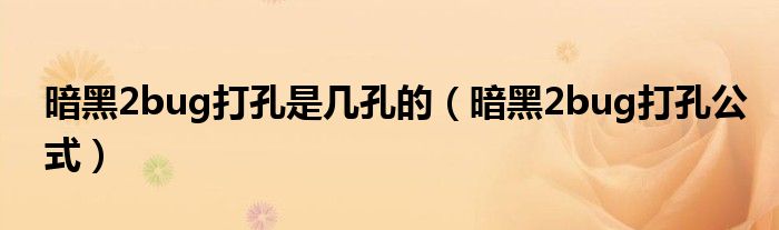 暗黑2bug打孔是几孔的（暗黑2bug打孔公式）