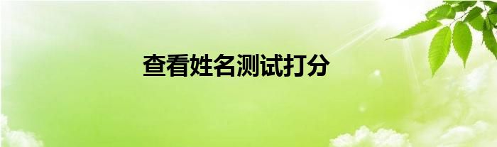 查看姓名测试打分