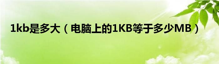 1kb是多大（电脑上的1KB等于多少MB）