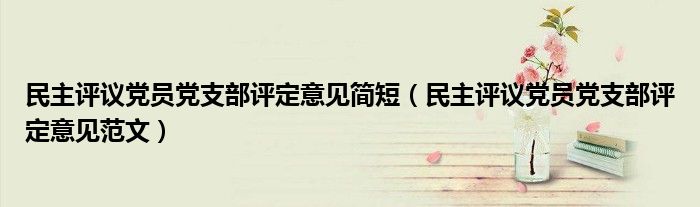 民主评议党员党支部评定意见简短（民主评议党员党支部评定意见范文）